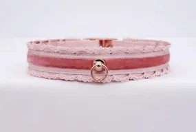 Blush Velvet and Lace - Rose Gold Luxury Pet Play Collar