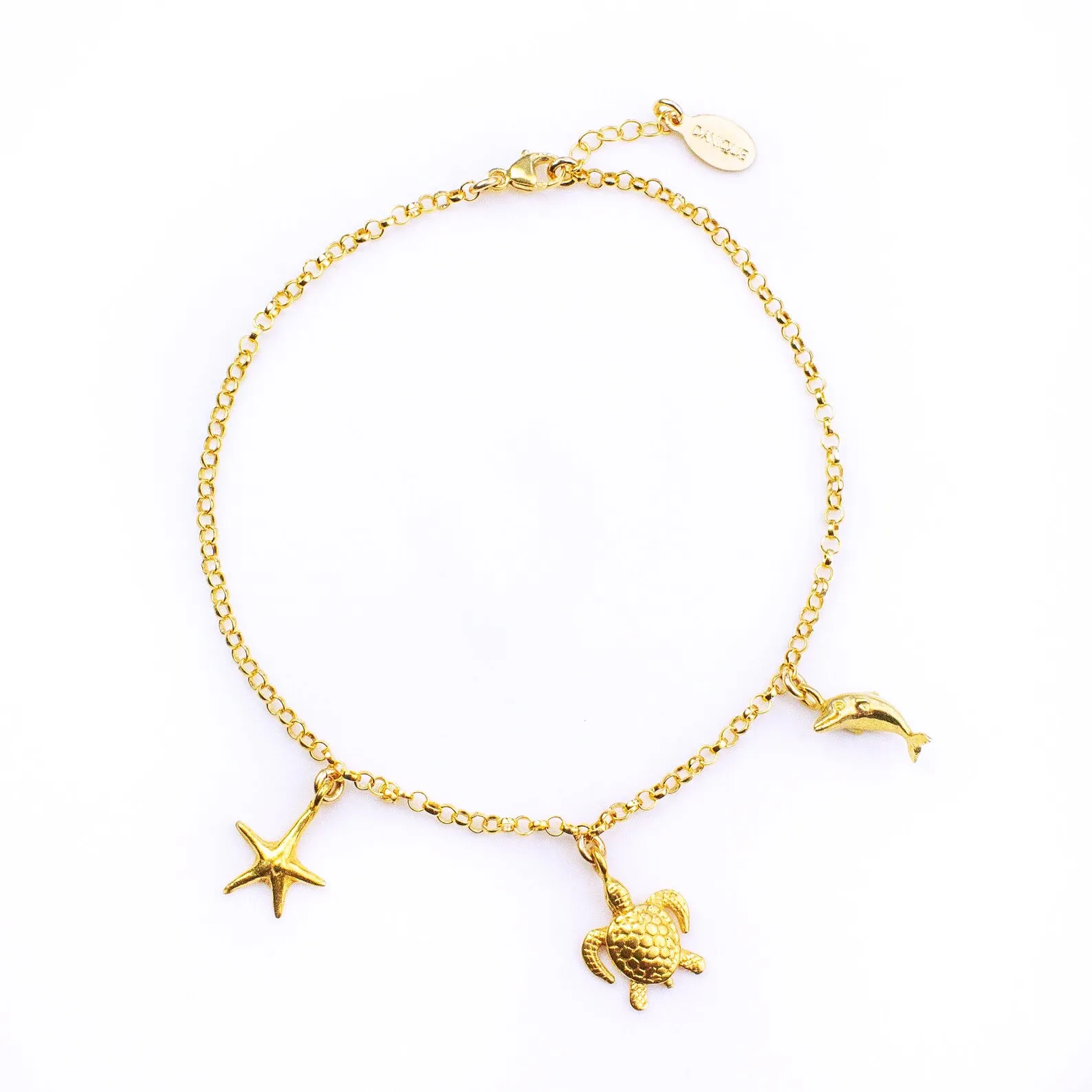 Custom Charm Anklet : Available with a variety of charms