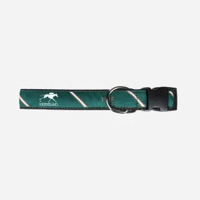 Keeneland Stripe 1936 Ribbon Dog Collar