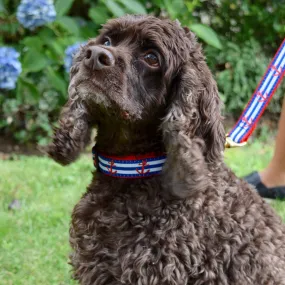 Medium Dog Collar: Anchors Aweigh