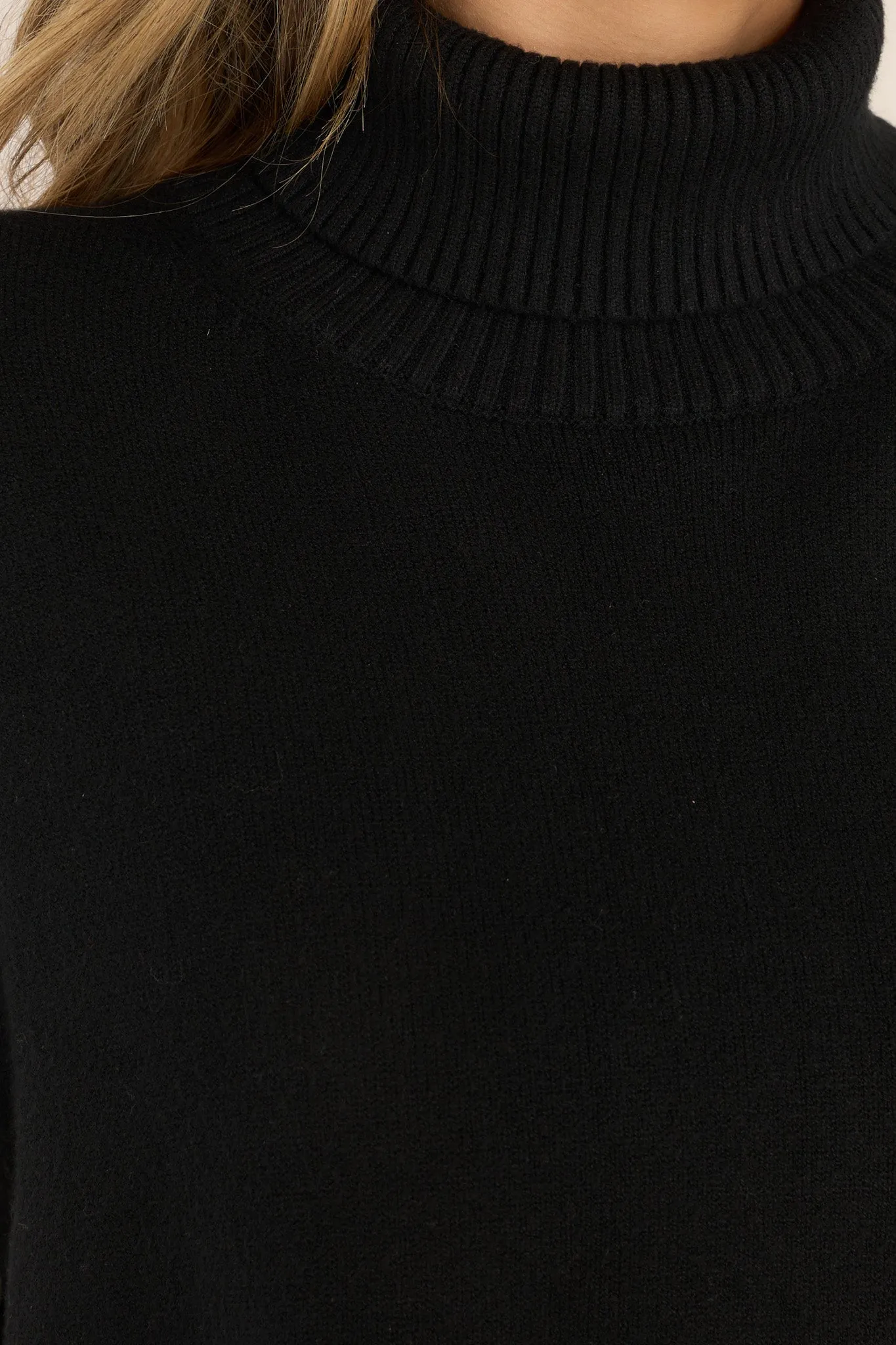 Standstill Black Turtleneck Sweater Vest